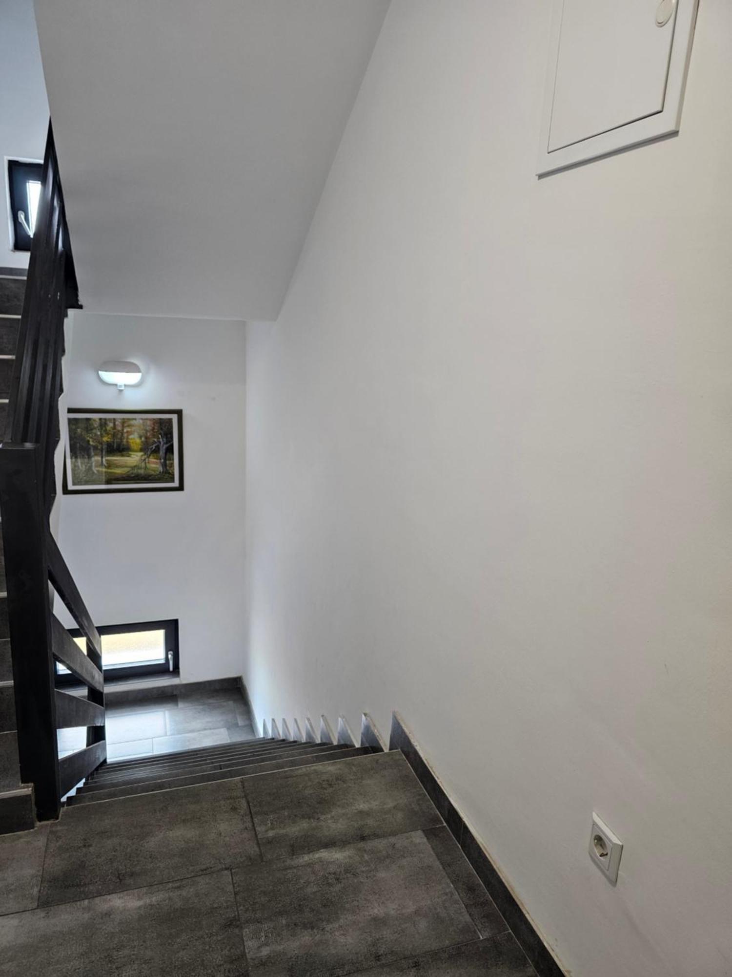 Filipovic Rent A Car & Apartments Selnica Scitarjevska Εξωτερικό φωτογραφία